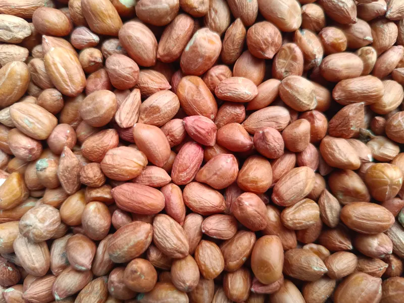 Groundnuts